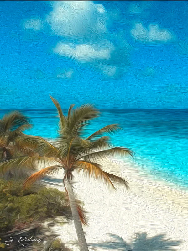 shoal-bay-cool-plams-image-oil-styled